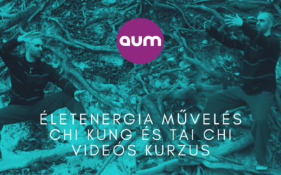 Életenergia művelés chi kung és tai chi videós kurzus